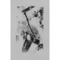 Series I R1-03 Untitled - Monoprint, 2015    
